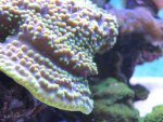 DSCN0570.jpg