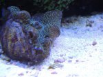 DSCN0564.jpg