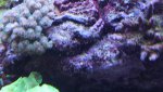 IMG_1771.jpg