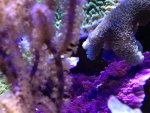 IMG_1269.jpg