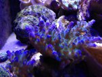 IMG_1275.jpg