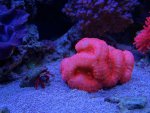 DSC03038.jpg