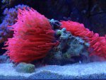 DSC03045.jpg
