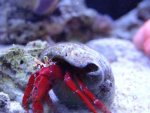 DSC03047.jpg
