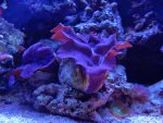DSC03048.jpg