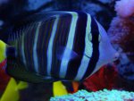 DSC03091.jpg