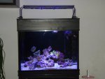 PC080260.jpg