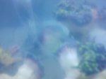 uploadfromtaptalk1355162179834.jpg