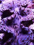 aqua dec. 2012 045.jpg