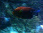 IMG_5540.jpg
