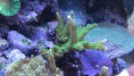 IMG_2061.jpg