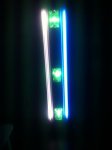 IMG_5875.jpg