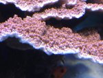 DSCN0670.jpg