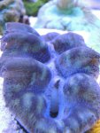 DSCN0680.jpg