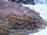 DSCN0679.jpg