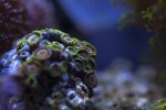IMG_2193.jpg