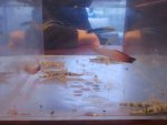 uploadfromtaptalk1360518154459.jpg