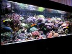 IMG-20130224-WA0008.jpg
