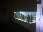 image-1339518776.jpg