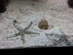 20130302_212143.jpg