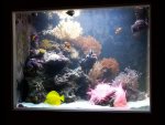 20130302_224519.jpg