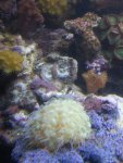 20130302_223843.jpg