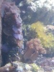 20130302_223621.jpg