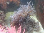 20130302_223737.jpg