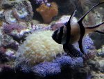 20130302_225018.jpg