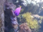 20130302_225049.jpg