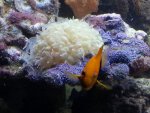 20130302_225120.jpg