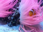 20130303_130035.jpg