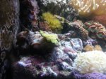 20130303_211751.jpg