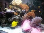 20130303_212041.jpg