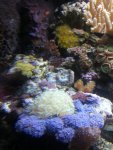 20130303_212215.jpg