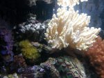 20130303_212254.jpg