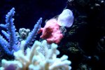 DSC03113.jpg