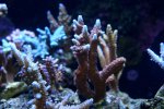 DSC03114.jpg