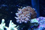 DSC03135.jpg