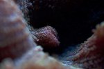 IMG_2422.jpg