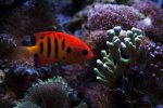 IMG_2439.jpg