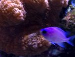IMG_1196.jpg