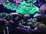 IMG_1252.jpg