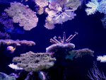 IMG_1255.jpg
