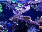 IMG_1258.jpg