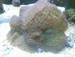2013-03-19 16.00.33.jpg
