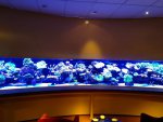 IMG_1275.jpg