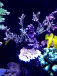 IMG_1322.jpg
