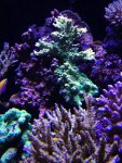 IMG_1323.jpg