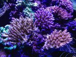 IMG_1324.jpg